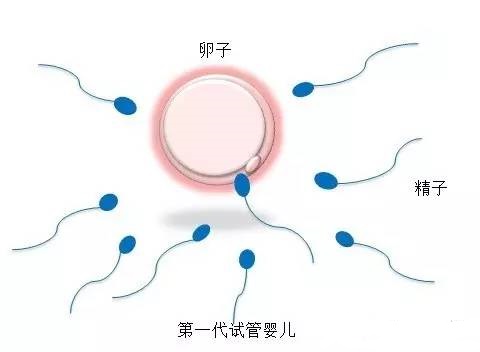 锦书生殖